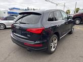 Thumbnail of 2016 Blue Audi Q5