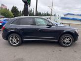 Thumbnail of 2016 Blue Audi Q5