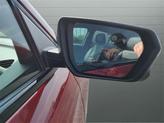 Thumbnail of 2023 Radiant Red Tintcoat Chevrolet Equinox