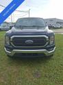 Photo of 2023 Blue Metallic Ford F-150