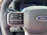 Thumbnail of 2025 Avalanche Ford F-250