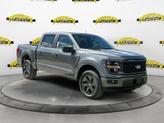 Photo of 2025 Carbonized Gray Metallic Ford F-150