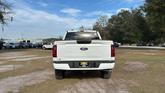 Thumbnail of 2025 Oxford White Ford F-150