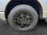 Thumbnail of 2025 Iconic Silver Metallic Ford F-150 Lightning
