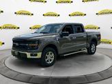 Thumbnail of 2025 Gray Ford F-150