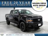 Photo of 2025 Agate Black Metallic Ford F-150