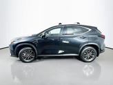 Thumbnail of 2025 0223 Lexus NX 350h