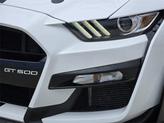 Thumbnail of 2020 Oxford White Ford Shelby GT500
