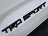 Thumbnail of 2023 Ice Toyota Sequoia