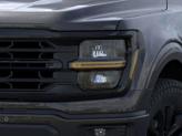 Thumbnail of 2025 Agate Black Metallic Ford F-150