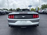 Thumbnail of 2023 Iconic Silver Metallic Ford Mustang
