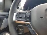 Thumbnail of 2025 Diamond Black RAM 1500