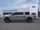 Thumbnail of 2025 Carbonized Gray Metallic Ford F-150