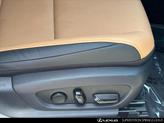 Thumbnail of 2025 Eminent White Pearl Lexus ES 300h