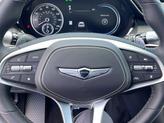 Thumbnail of 2025 Vik Black Genesis GV70
