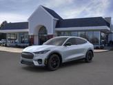 Photo of 2025 Glacier Gray Metallic TriCoat Ford Mustang Mach-E