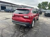 Thumbnail of 2021 Rapid Red Metallic Tinted Clearcoat Ford Escape