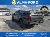 Thumbnail of 2019 Magnetic Ford F-150