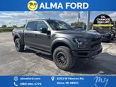 Thumbnail of 2019 Magnetic Ford F-150