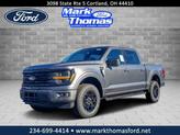 Photo of 2025 Carbonized Gray Metallic Ford F-150