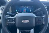 Thumbnail of 2025 Avalanche Ford F-350