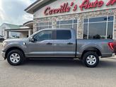 Thumbnail of 2021 Carbonized Gray Metallic Ford F-150