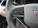 Thumbnail of 2022 Latte Metallic Cadillac XT6