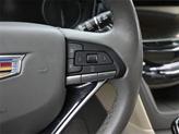 Thumbnail of 2022 Latte Metallic Cadillac XT6