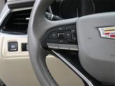 Thumbnail of 2022 Latte Metallic Cadillac XT6