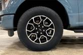 Thumbnail of 2023 Area 51 Ford F-150