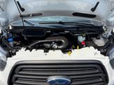 Thumbnail of 2019 White Ford Transit-150