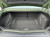 Thumbnail of 2021 Green Dodge Challenger