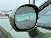 Thumbnail of 2021 Green Dodge Challenger