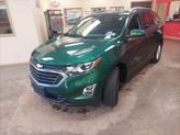 Thumbnail of 2019 Ivy Metallic Chevrolet Equinox