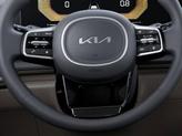 Thumbnail of 2026 Panthera Metal Kia Carnival Hybrid
