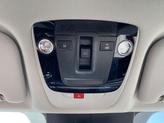 Thumbnail of 2025 Jungle Green Kia Sorento