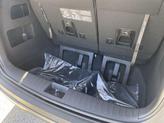 Thumbnail of 2026 Snow White Pearl Kia Carnival Hybrid