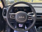 Thumbnail of 2025 Panthera Metal Kia Sorento