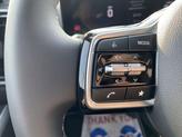 Thumbnail of 2025 Panthera Metal Kia Sorento