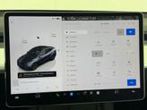 Thumbnail of 2025 Gray Tesla Model Y