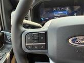Thumbnail of 2025 Star White Ford F-250