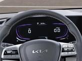 Thumbnail of 2025 Panthera Metal Kia Telluride