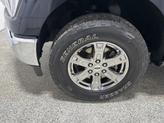 Thumbnail of 2021 Blue Ford F-150