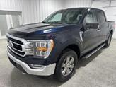 Thumbnail of 2021 Blue Ford F-150