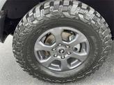 Thumbnail of 2022 Race Red Ford Bronco