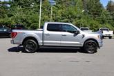 Thumbnail of 2021 Silver Ford F-150