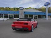 Thumbnail of 2025 Race Red Ford Mustang