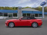 Thumbnail of 2025 Race Red Ford Mustang