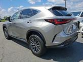 Thumbnail of 2022 Atomic Silver Lexus NX 350