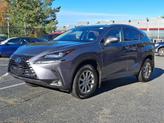 Photo of 2018 Nebula Gray Pearl Lexus NX 300